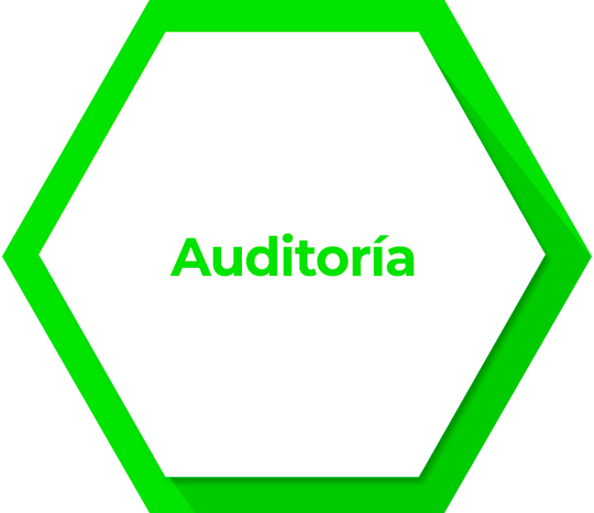 Auditoria