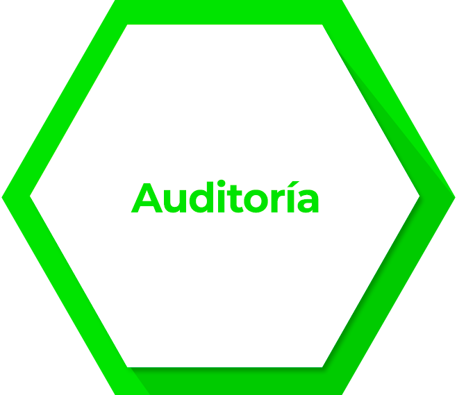 Auditoria